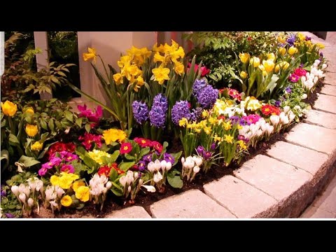 Видео: Способы посадки луковичных/Как посадить тюльпаны, нарцисы, крокусы [цветочные композиции весной]
