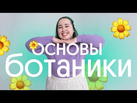 Видео: 🍀 ОСНОВЫ БОТАНИКИ ДЛЯ ОГЭ ПО БИОЛОГИИ 2024