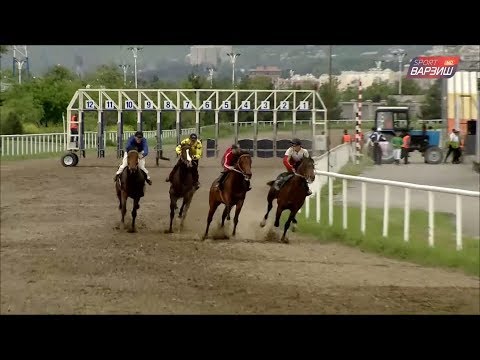 Видео: Пойгаи равон / Аспдавонӣ бахшида ба Рӯзи пойтахт (20.04.2019)