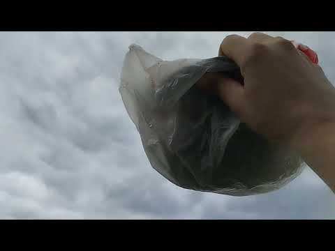 Видео: Тест импульсников с петлёй 4х4 метра.