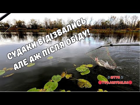 Видео: Тяжкі на підйом судаки! Десняньські судаки! Потужні окуні!
