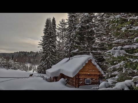 Видео: СТЕНЫ ИЗБЫ СКРЫЛО ПОД СНЕГОМ! ЕДЕМ В ИЗБУ НА ДВА ДНЯ! ЕДА В КАЗАНЕ! ОТДЫХ В ТАЙГЕ