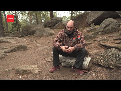 Видео: Интервью с Михаилом Тарковским