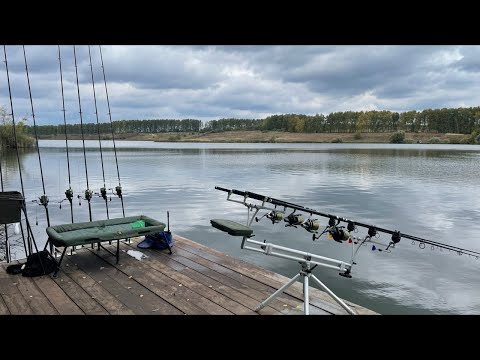 Видео: Осенний карпфишинг. Чемпионат Орловской области. РСК Павловский