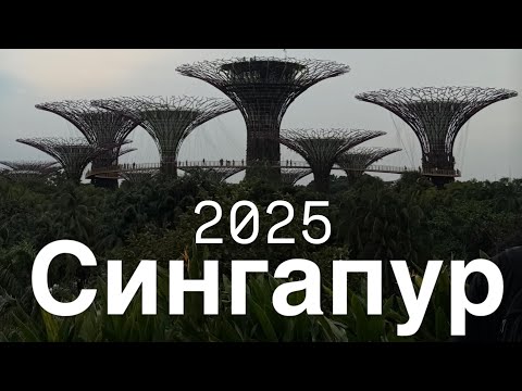 Видео: СИНГАПУР 2025 ТРАНЗИТОМ: Marina & Gardens. Чайнатаун и ресторан фастфуда Michelin POPMART распаковка