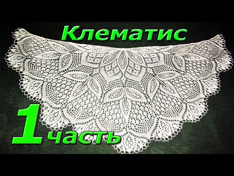 Видео: 1. Начинаем. Шаль спицами "КЛЕМАТИС". Вязание.