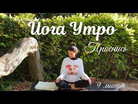 Видео: Утренняя йога для начинающих за 9 минут