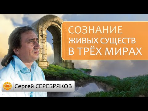 Видео: Основные различия сознания живых существ в трех Мирах Вселенной.
