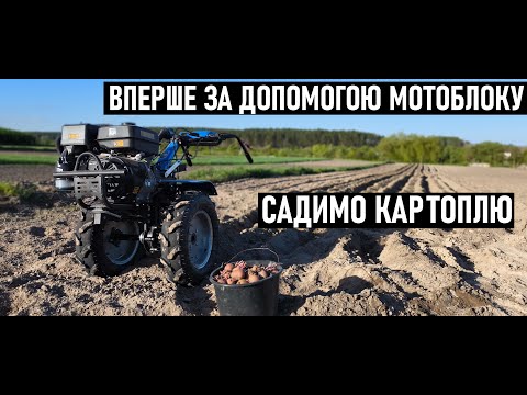 Видео: ПЕРША ПОСАДКА КАРТОПЛІ ЗА ДОПОМОГОЮ МОТОБЛОКА ДТЗ 💙💛