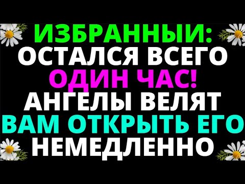 Видео: ИЗБРАННЫЙ: ОСТАЛСЯ ВСЕГО ОДИН ЧАС! АНГЕЛЫ ВЕЛЯТ ВАМ ОТКРЫТЬ ЕГО НЕМЕДЛЕННО