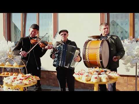 Видео: Жива музика на весіллі м.Хуст