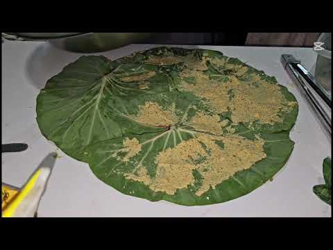 Видео: Готовим на Дивали