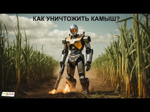 Видео: Как уничтожить камыш?