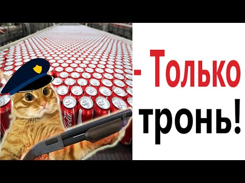 Видео: Лютые приколы. КОТ ЛЮБИТ ГАЗИРОВКУ!!! Тест на психику! Засмеялся проиграл! – Domi Show!