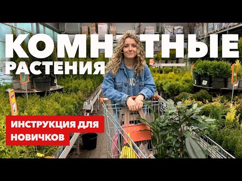 Видео: Что делать когда вы купили ПЕРВОЕ растение? » Инструкция для новичков-цветоводов