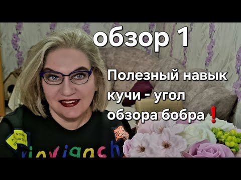 Видео: Полезный навык кучи - угол обзора бобра❗️