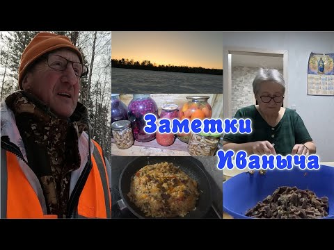 Видео: Жизнь в деревне - поиск волков, запасы Иваныча, нежирный холодец и плов