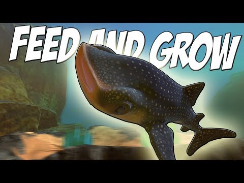 Видео: КИТОВАЯ АКУЛА ВСЕХ СЪЕЛА, НОВЫЕ РЫБКИ, ОБНОВЛЕНИЕ | Feed and Grow Fish