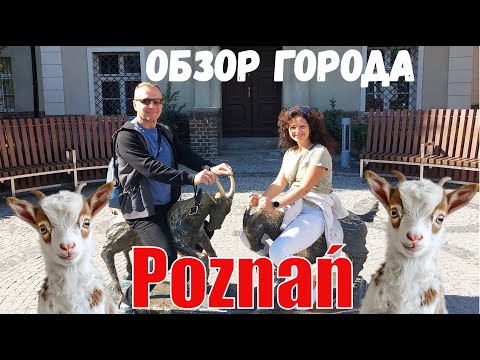 Видео: ПОЗНАНЬ: обзор города 👀. Субтитры на твоем языке ✌️.