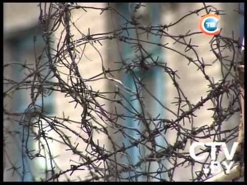 Видео: CTV.BY: Жизнь в женской колонии