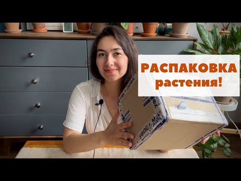 Видео: Долгожданная новинка! / Распаковка посылки с растением