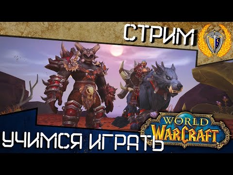 Видео: Внезапно-стрим )) Делаем квесты и проходим башню в WoW - За Орду!