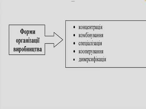 Видео: 14 ноября 2025 г.