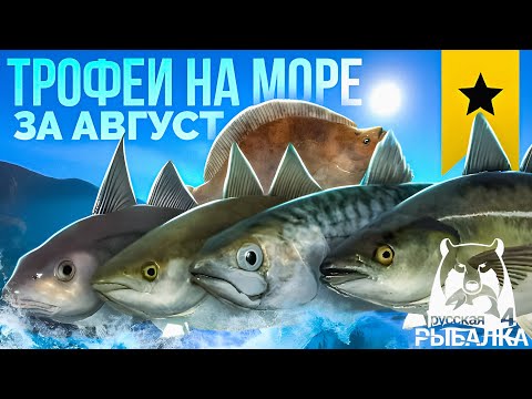 Видео: ТРОФЕИ НА НОРВЕЖСКОМ МОРЕ ЗА АВГУСТ! #рр4