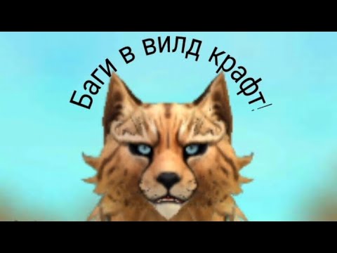 Видео: БАГИ В ВИЛД КРАФТ!