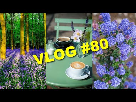 Видео: Про английские колокольчики, древние леса, походы в магазин и малый бизнес во время карантина