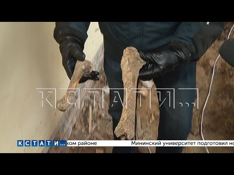 Видео: Массовое захоронение человеческих останков обнаружено в школе под коридором и учебными классами