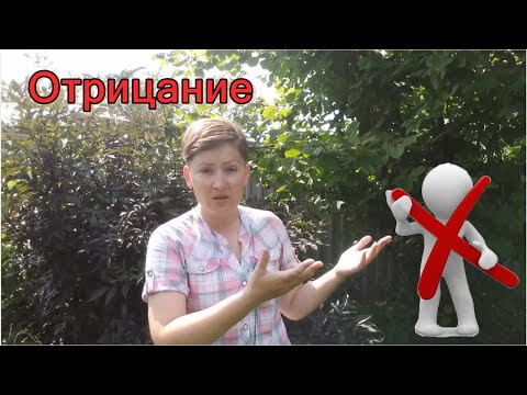 Видео: Отрицание. Психологические защиты
