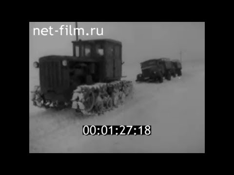 Видео: 1968г. совхоз Декабрист Саратовская обл