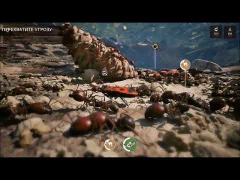 Видео: НАСТОЯЩИЕ МУРАВЬИ ВОИНЫ ( Empire of the Ants )