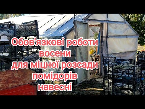 Видео: Обов'язкові роботи восени для міцної розсади навесні.