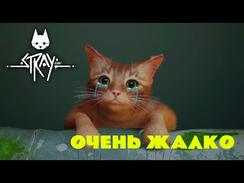 Видео: БЕДНЫЙ КОТИК - Stray #1