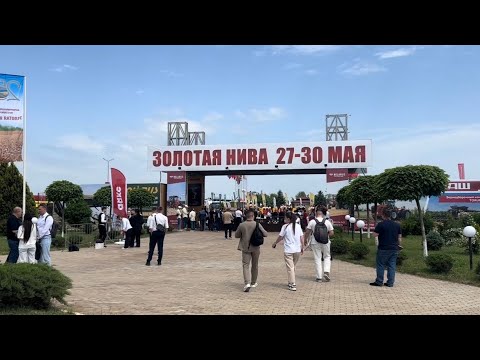 Видео: Роботы, агродроны, автопилоты на выставке Золотая Нива 2025