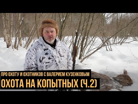Видео: Охота на копытных (2 серия) / Про охоту и охотников с Валерием Кузенковым. Сезон 1