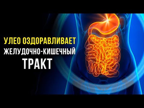 Видео: ЖКТ Без Проблем! Самое МОЩНОЕ Оздоровление ЖКТ | Исцеляющая Медитация