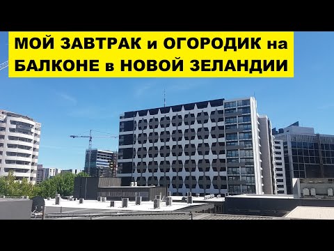 Видео: МОЙ ЗАВТРАК,  ОГОРОДИК на БАЛКОНЕ и ЛАЗУРНОЕ НЕБО в НОВОЙ ЗЕЛАНДИИ