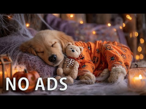 Видео: Успокаивающая музыка для собак 🐶✨ Снимает тревогу разлуки и помогает расслабиться
