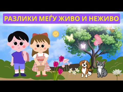 Видео: Разлики меѓу живо и неживо 🌱🪨 | Општество 1 одделение | The Kidzy Wizz