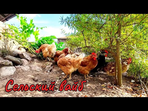 Видео: Деревенский Осенний Вайб !!!