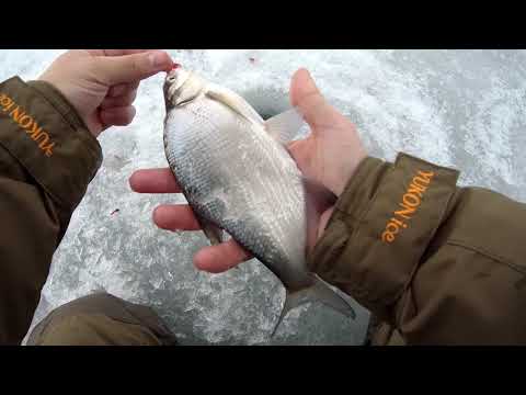 Видео: Хорошая погода чтобы потягать РЫБКУ! Рыбалка в Воронеже на водохранилище. 2021.