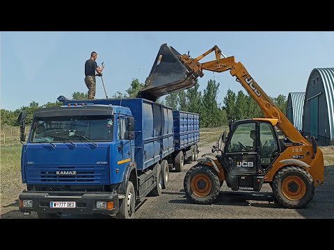 Видео: 🚚 Рейс из Воронежской обл. 😢 ГРУЖУ СЕМЕЧКУ ЛОПАТОЙ... Камаз дальнобой зерновоз