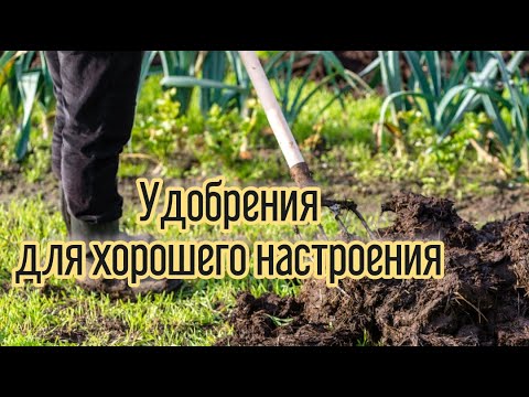 Видео: КАКИЕ УДОБРЕНИЯ В САДУ И ОГОРОДЕ Я ИСПОЛЬЗУЮ. Вносим удобрения правильно - по фазе развития растений