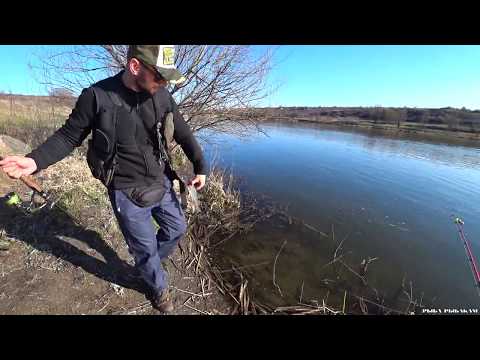 Видео: ИДЕАЛЬНАЯ БЕРЕГОВАЯ РЫБАЛКА! РЫБА ЕСТЬ! Ловля на спиннинг 2020. Рыбалка на донку весной.