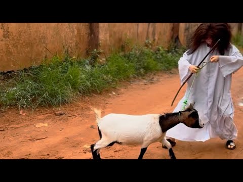 Видео: Могущественные АПОСТОЛ НАМА И АПОСТОЛ ОНВА