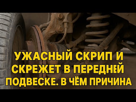 Видео: Ужасный скрип и скрежет в передней подвеске. В чём причина?