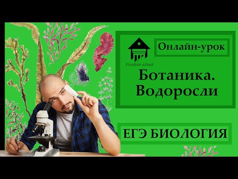 Видео: Введение в ботанику - ВОДОРОСЛИ для ЕГЭ |ЕГЭ БИОЛОГИЯ|Freedom|